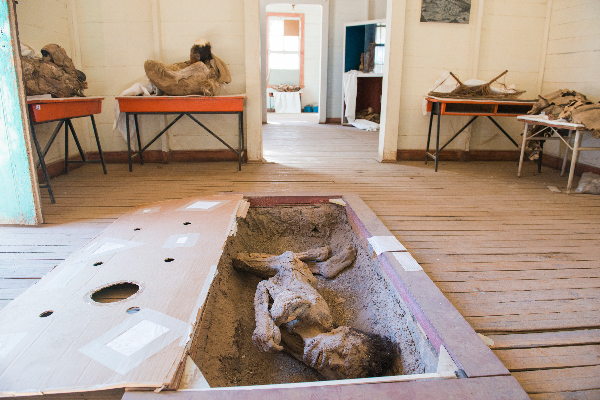 EL MUSEO DE QUILLAGUA