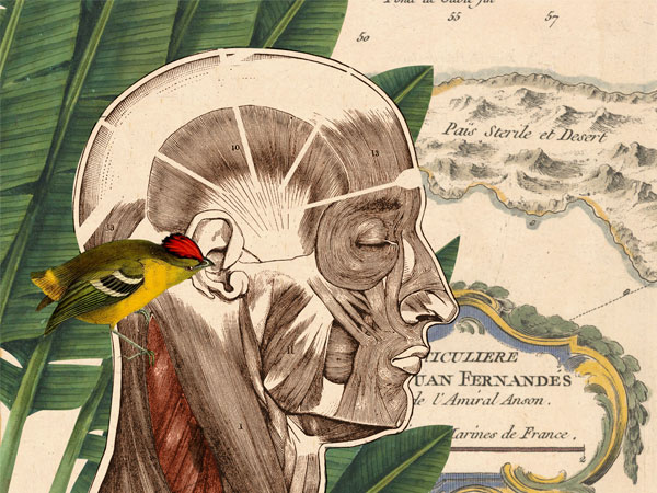 LA ISLA DEL HOMBRE LIBRE