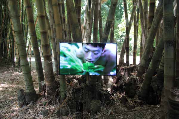 EL JARDÍN PLANETARIO DE MANIFESTA