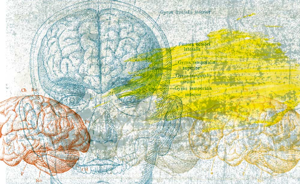Lavado de cerebro
