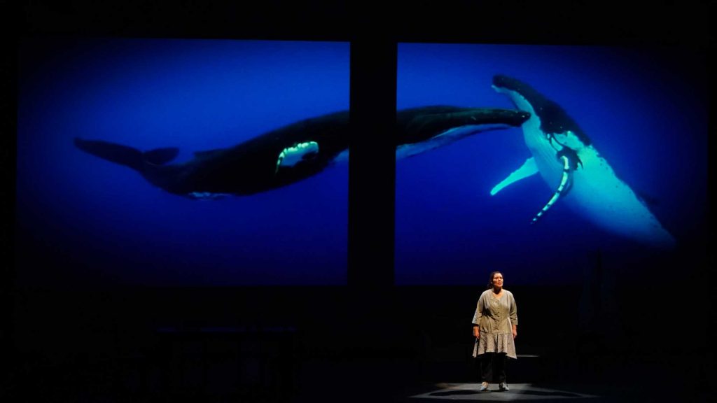 De ballenas, misterios y humanidad