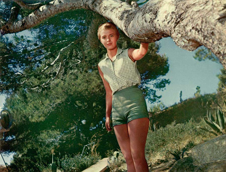 Buenos días, tristeza La fragilidad inmortal de Jean Seberg