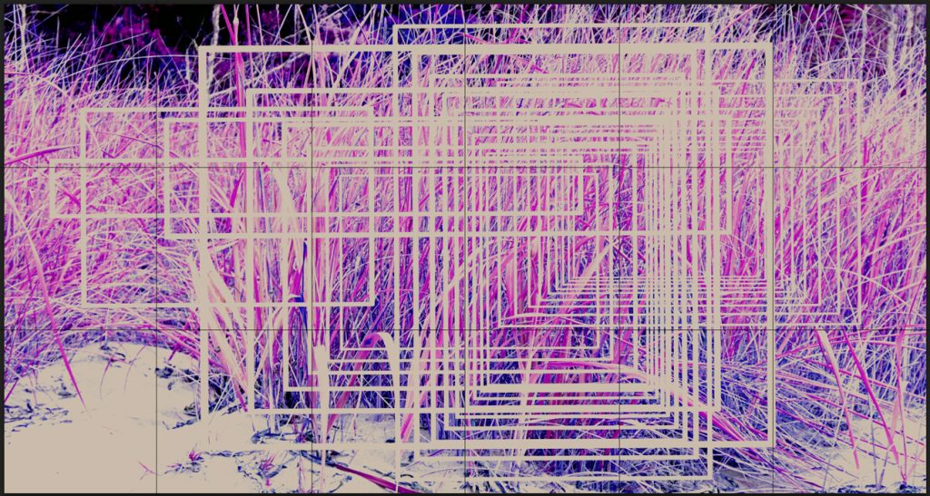 «Pradera sin fin», 2023
Acrílico sobre lino, 210 x 396 cm